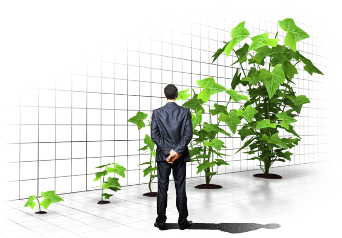 sales from printed ads